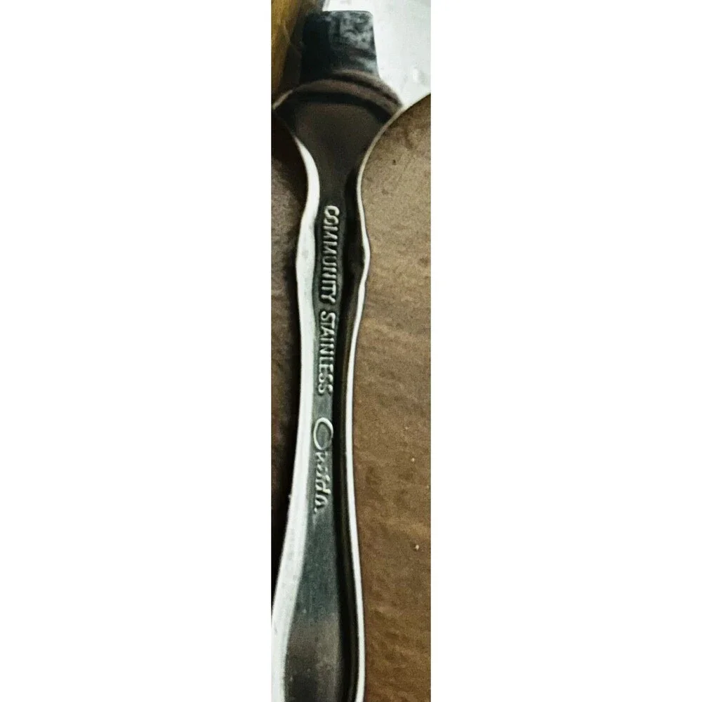 Oneida Brahms Set of 6 Grapefruit Spoons  Community Stainless Flatware